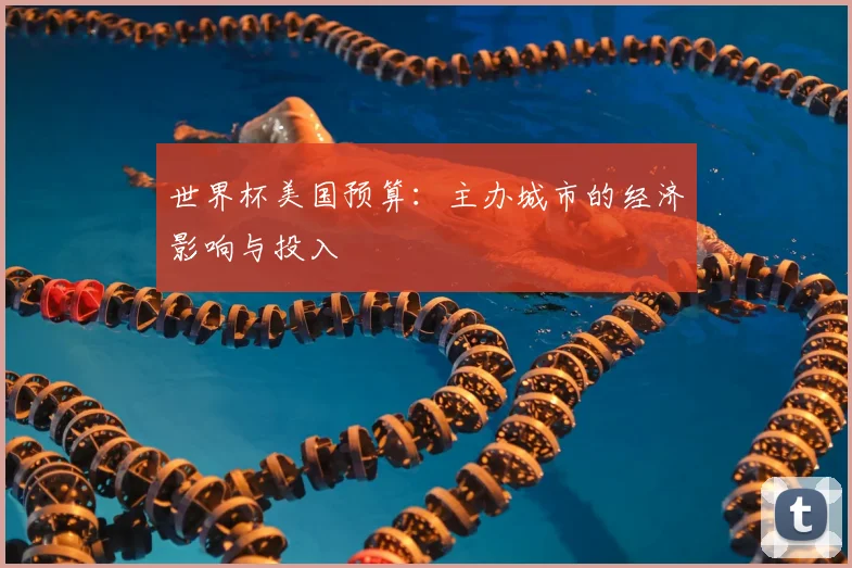 世界杯美国预算:主办城市的经济影响与投入