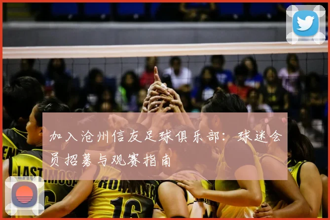 加入沧州信友足球俱乐部:球迷会员招募与观赛指南