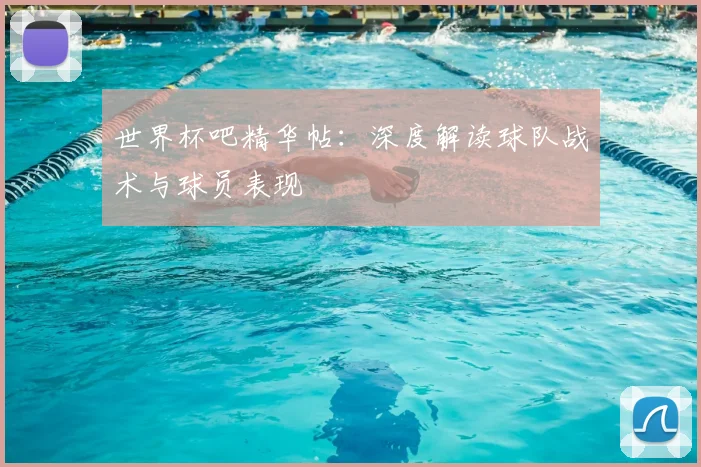 世界杯吧精华帖：深度解读球队战术与球员表现